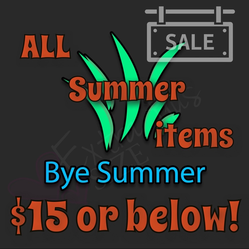 SUMMER CLOTHING CLOSET CLEAN OUT CCO